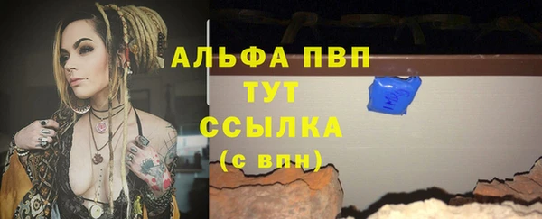 jwh Пересвет