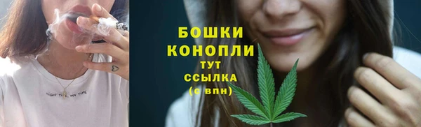 jwh Пересвет