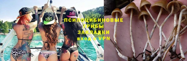 jwh Пересвет