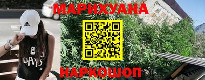 крисы Аргун