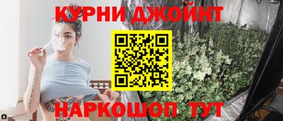 крисы Аргун
