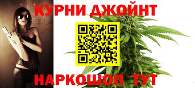 крисы Аргун