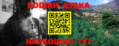 крисы Аргун