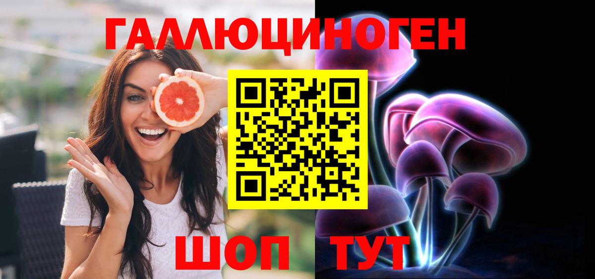 Псилоцибиновые грибы Psilocybe Аша