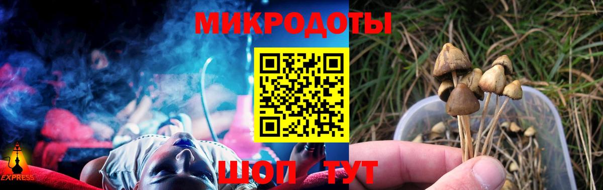 Псилоцибиновые грибы мицелий Аша
